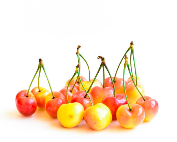 istock Studio shot group of Rainier cherries with long stems isolated on white 1182921465