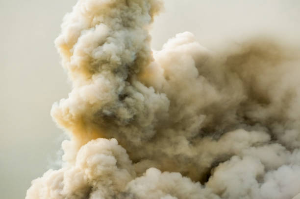 dense smoke background, - forest fire power actions nature imagens e fotografias de stock