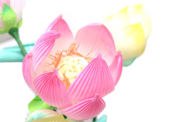 Lotus paper origami