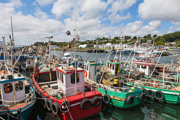 istock fishing boat anchored at the pier 1182925535