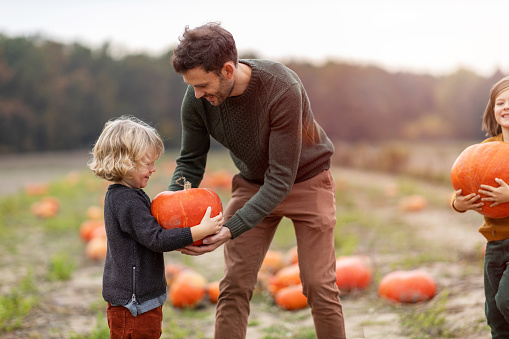 Father and sons in pumpkin patch field