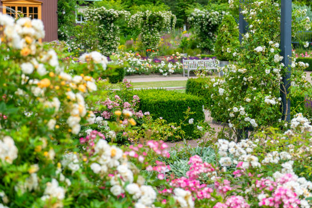 istock Lavish garden in full bloom 1182926862