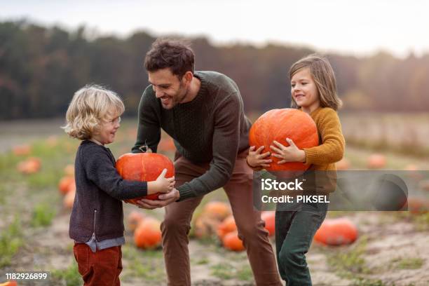 Father And Sons In Pumpkin Patch Field Stock Photo - Download Image Now - Pumpkin, Picking - Harvesting, Family