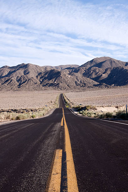 istock Long stretch of desert road 118292883