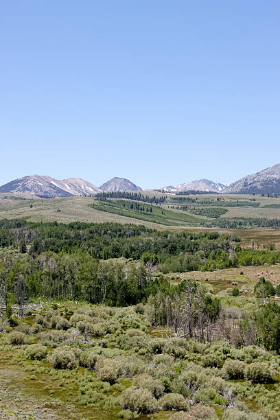 istock Scenic view of the Sierra Nevadas 118292965