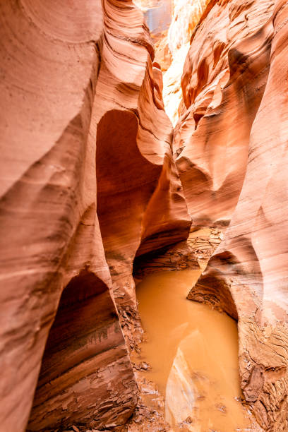 vista vertical abstracta de arenisca naranja de rocas y piscina de agua sucia embarrada en el estrecho cañón de ranura antelope en arizona en el sendero del lago powell - lower antelope canyon flash fotografías e imágenes de stock