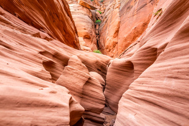 istock Orange red wave shape sandstone abstract formations pattern of rocks shadows at narrow Antelope slot canyon in Arizona on trail from Lake Powell 1182929959