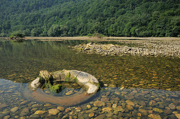 A Serpentine rock with orange crust stands out in the river.
