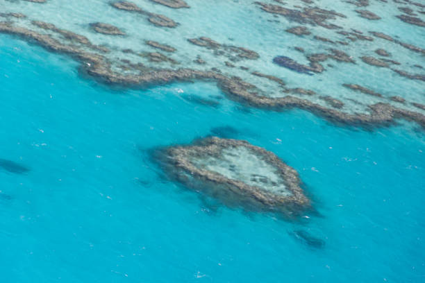 istock Famous heart reef in closeup 1182939660