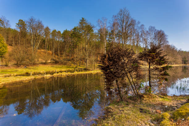 Small river flowing through the lakes. Forest and hills around, spring season. Pelk, Kashubia, Pomerania, Poland.