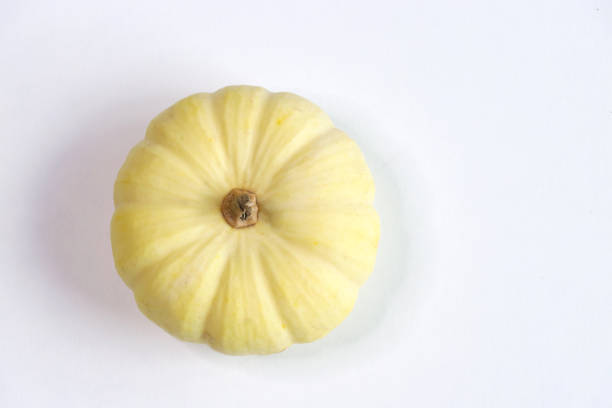 White Pumpkin 2
