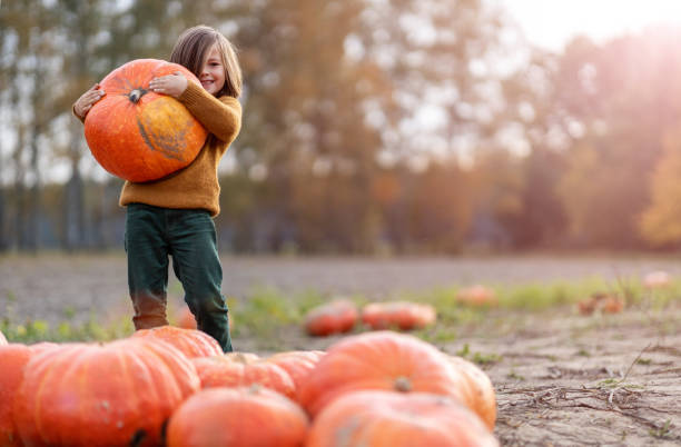 istock Cute little boy having fun in a pumpkin patch 1182947239