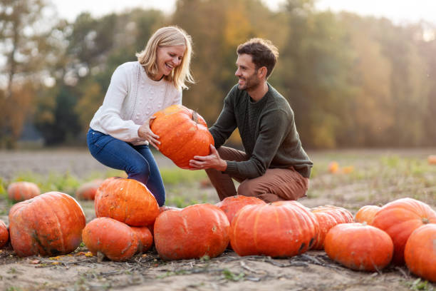 istock Happy young couple in pumpkin patch field 1182947919