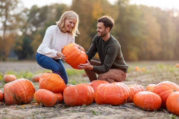 Happy young couple in pumpkin patch field stock photo