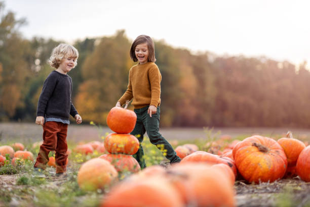 istock Two little boys having fun in a pumpkin patch 1182947978