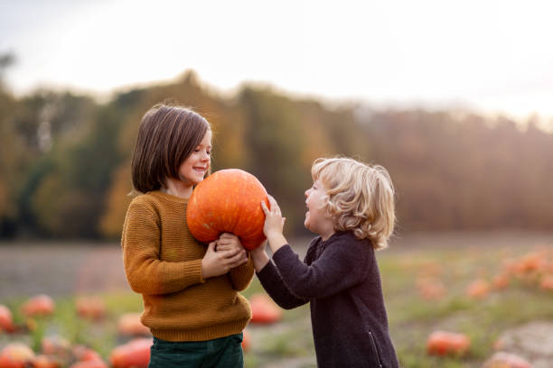 istock Two little boys having fun in a pumpkin patch 1182948343