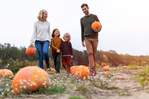istock Happy young family in pumpkin patch field 1182948478