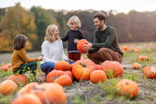 glückliche junge familie im kürbis-patch-feld - family four people smiling autumn stock-fotos und bilder