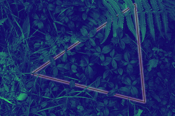 istock Neon light frame glowing behind leaves. Duotone creative background 1182949591