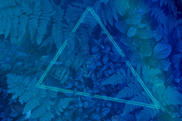 istock Neon light frame glowing behind leaves. Duotone creative background 1182949684