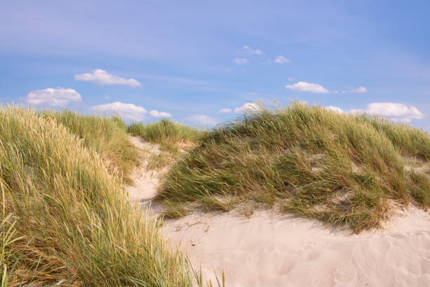 istock Summeres at the beach 1182949982