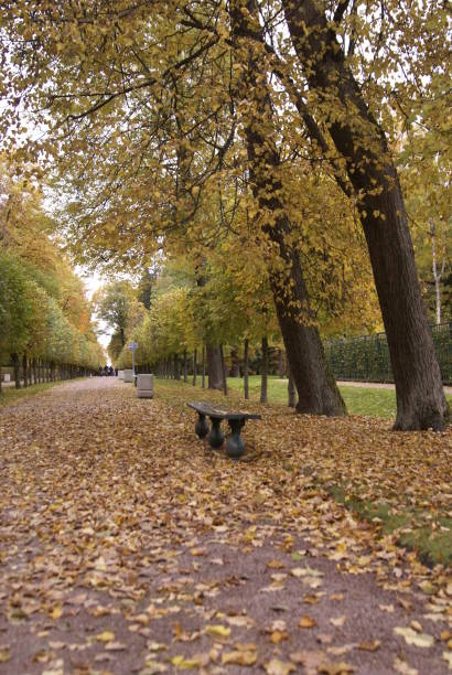 istock St.Petersburg 1182950151