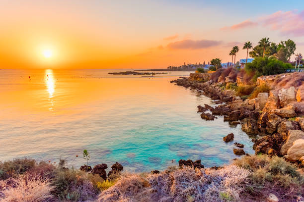 Fig tree bay beach in Protaras, Cyprus Beautiful beaches of Cyprus at sunset cyprus island stock pictures, royalty-free photos & images