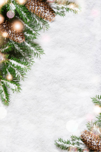 istock Christmas background, green pine branches, cones on snow background. Creative composition with copy space, top view. New Year's, holiday, christmas, decoration. 1182953692