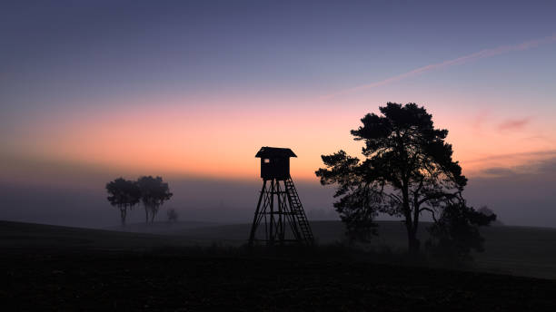 istock Silhouette of a hunting tower at dawn. 1182953733