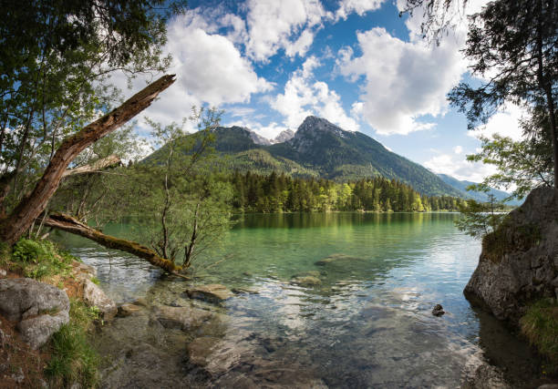 Hochkalter mountain mirroring in the hintersee in the berchtesgaden nationalpark. Bright green colors and blue sky.