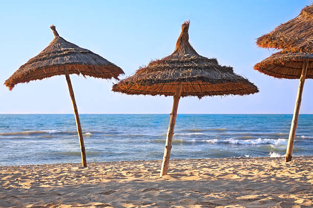 istock thatched sunshades on the beach 118295548