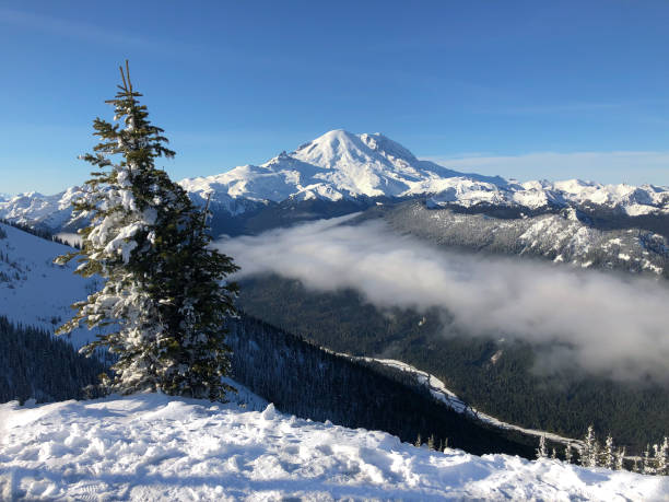 istock Snow covered mountain peak on a cold, sunny day 1182956540