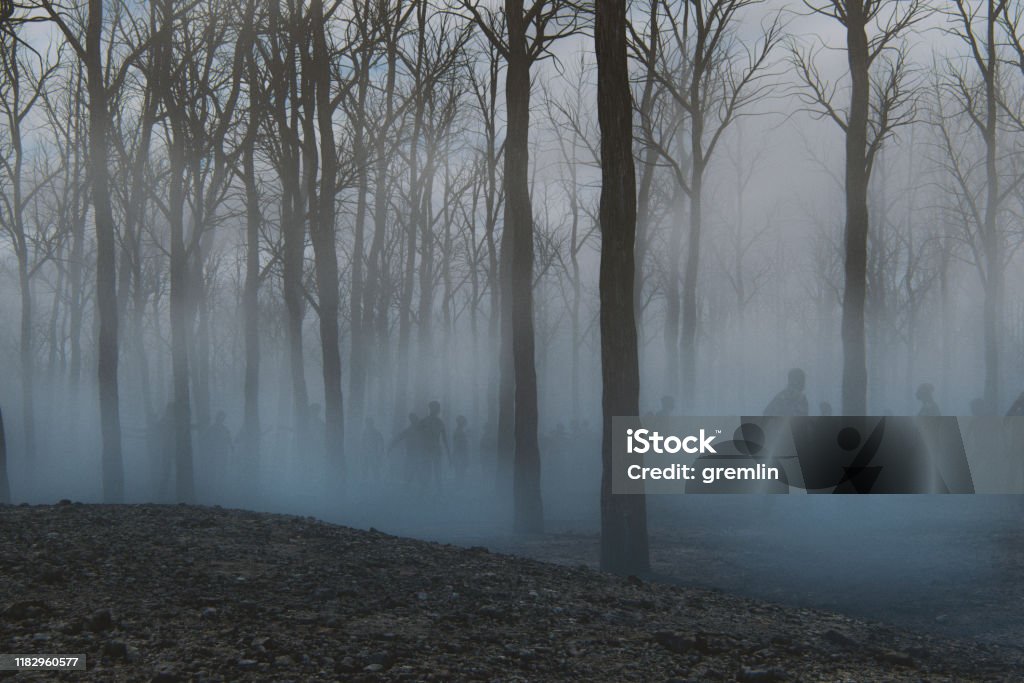 Spooky foggy forest full of walking dead zombies Spooky foggy forest full of walking dead zombies. This is entirely 3D generated image. Zombie Stock Photo
