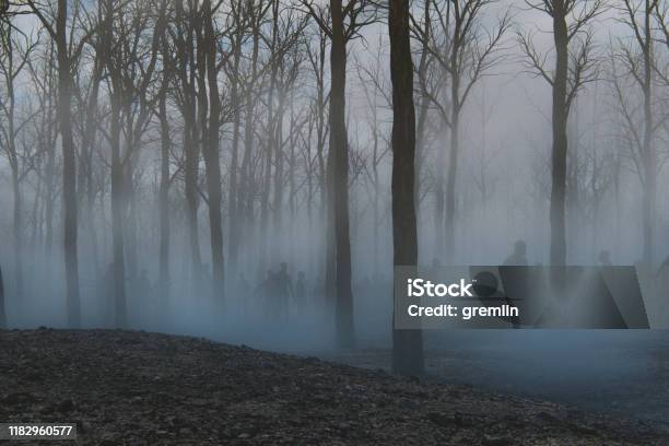 Spooky Foggy Forest Full Of Walking Dead Zombies Stock Photo - Download Image Now - Zombie, Forest, Woodland