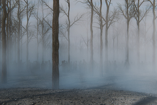 Spooky foggy forest full of walking dead zombies. This is entirely 3D generated image.