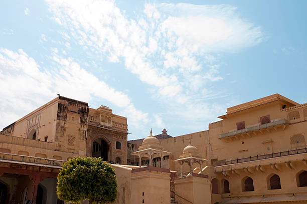 암베르 포트, 자이푸르, 인도 - jaipur amber fort column amber palace 뉴스 사진 이미지