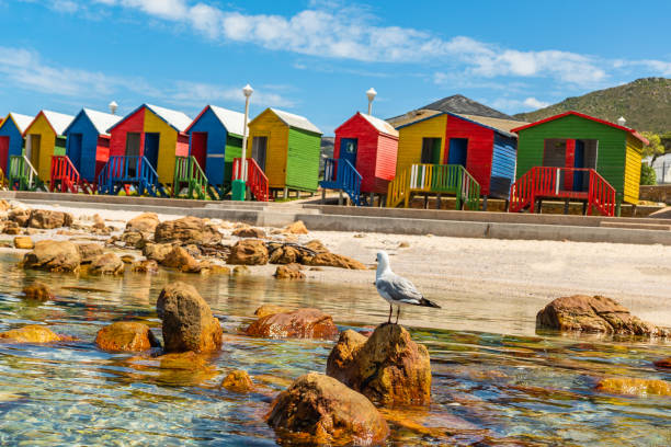 istock colorful cabins on beach at Muizenberg 1182965926