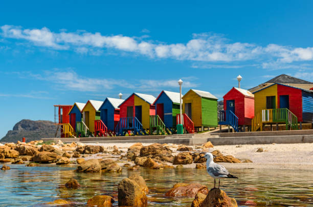 istock colorful cabins on beach at Muizenberg 1182965977