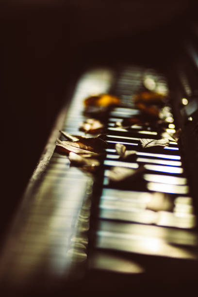 istock Piano and Autumn leaves 1182966179