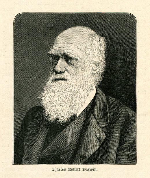 illustrations, cliparts, dessins animés et icônes de illustration de portrait naturaliste de charles darwin - charles darwin engraved image old fashioned etching