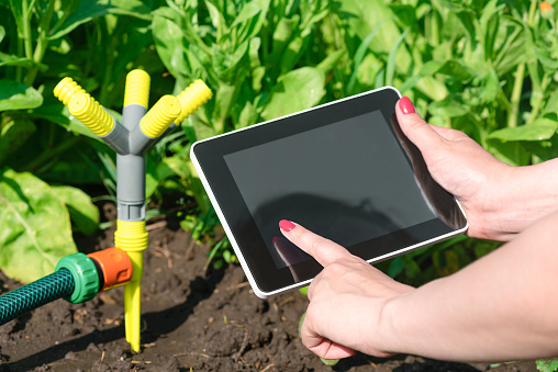 Woman is holding in hand a blank screen tablet computer on a garden sprinkler background.