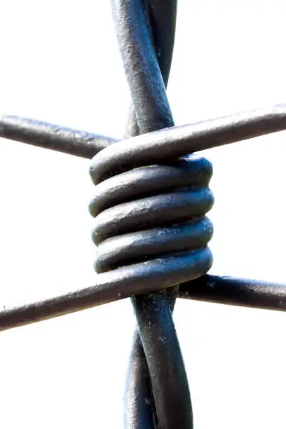 Photo of Closeup barbed wire, white background with copy space