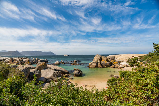 istock Boulders beach cape town 1182971846
