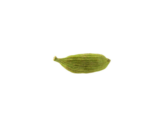 pod cardamomo verde isolato su sfondo bianco con spazio di copia per testo o immagini. spezie, cibo, concetto di cucina. colpo ravvicinato - photography cardamom pod green foto e immagini stock