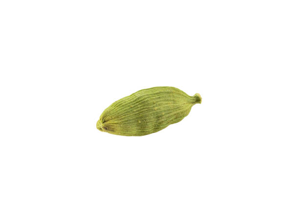 pod cardamomo verde isolato su sfondo bianco con spazio di copia per testo o immagini. spezie, cibo, concetto di cucina. colpo ravvicinato - photography cardamom pod green foto e immagini stock