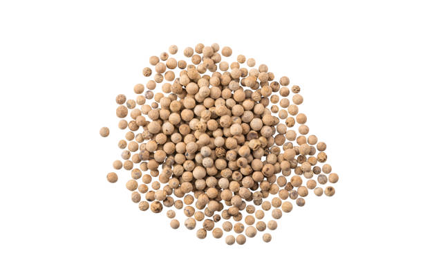 istock White peppercorns isolated on white background with copy space for text or images. Spices and herbs. Close-up, top view 1182974298