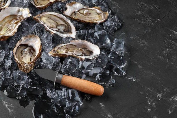 istock Fresh opened oysters in ice on a black stone textured background. Top view with copy space. Close-up shot 1182974637