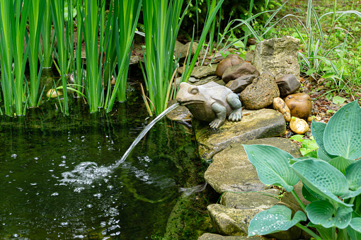 Beautiful small garden pond with a frog-shaped fountain and stone shores in spring. Selective focus. Nature concept for design