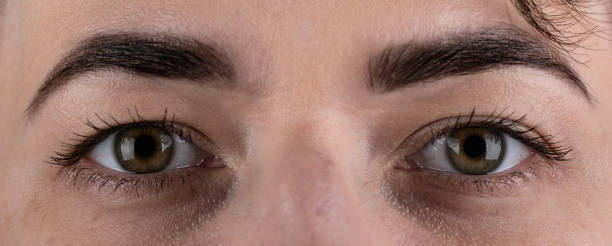 istock Open female green eyes with makeup with black eyebrows and black lashes. 1182980430