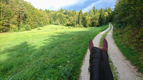 POV: Riding a brown haired horse down an empty dirt road leading past a tranquil meadow in the woods. Scenic first person view of the forest while riding a muscular stallion along an empty path.